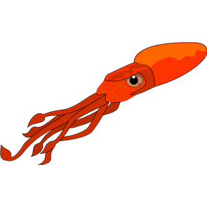 Squid PNG-47211